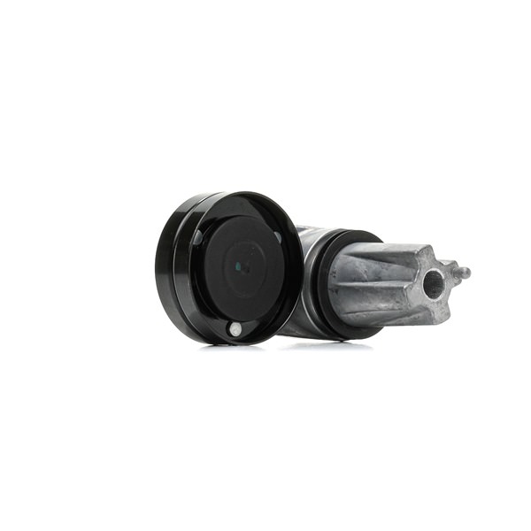 LR013506 OE RIDEX Strammehjul, kilerem 310T0523