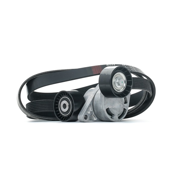 1195000QAC OE STARK Jeu de courroies trapézoïdales à nervures SKRBS-1200710