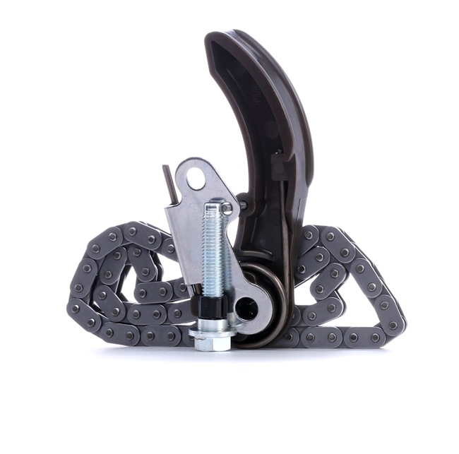 55573877 OE RIDEX Kjedesett, oljepumpemotor 6138C0013