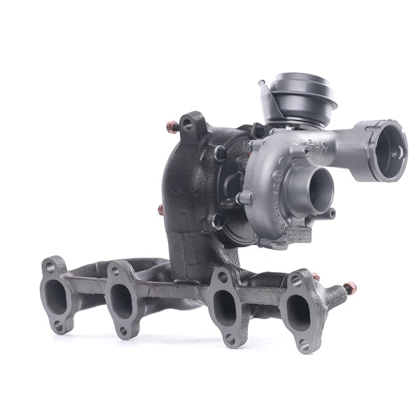 RIDEX REMAN 2234C10117R Turbokompresorius Seat Toledo 1m 1.9 TDI dyzelinas 150 AG 2002