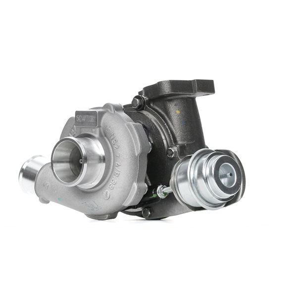 282012A400 OE RIDEX Turbocompresseur 2234C10680