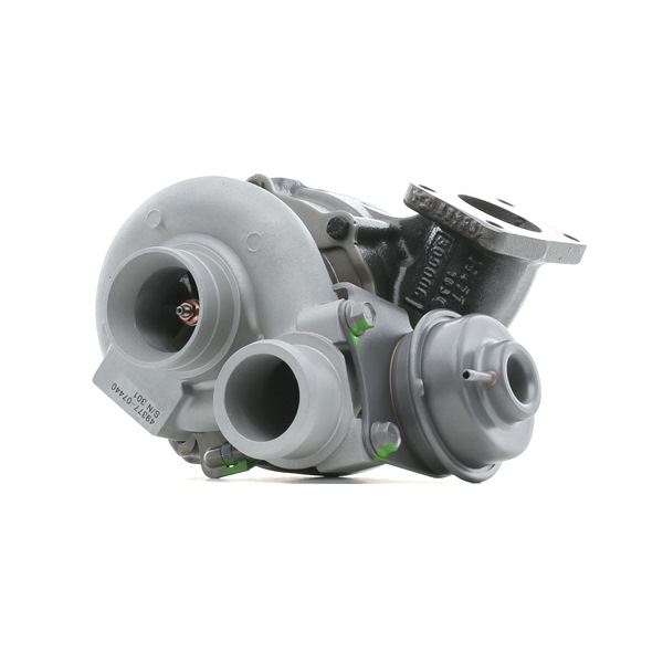 2234C0194R RIDEX REMAN 076145701B Turbolader