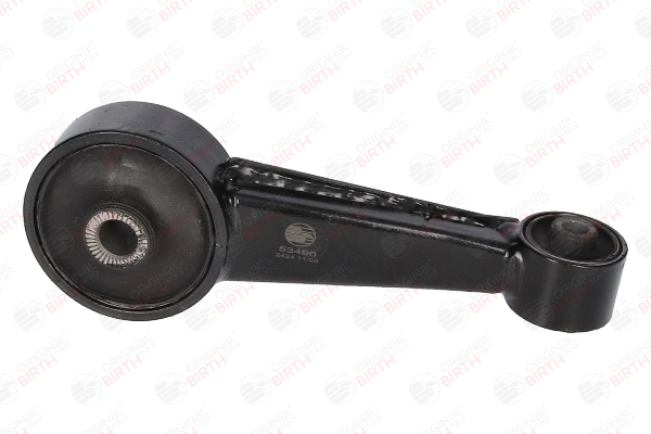 219301C130 OE BIRTH Engine mount 53490