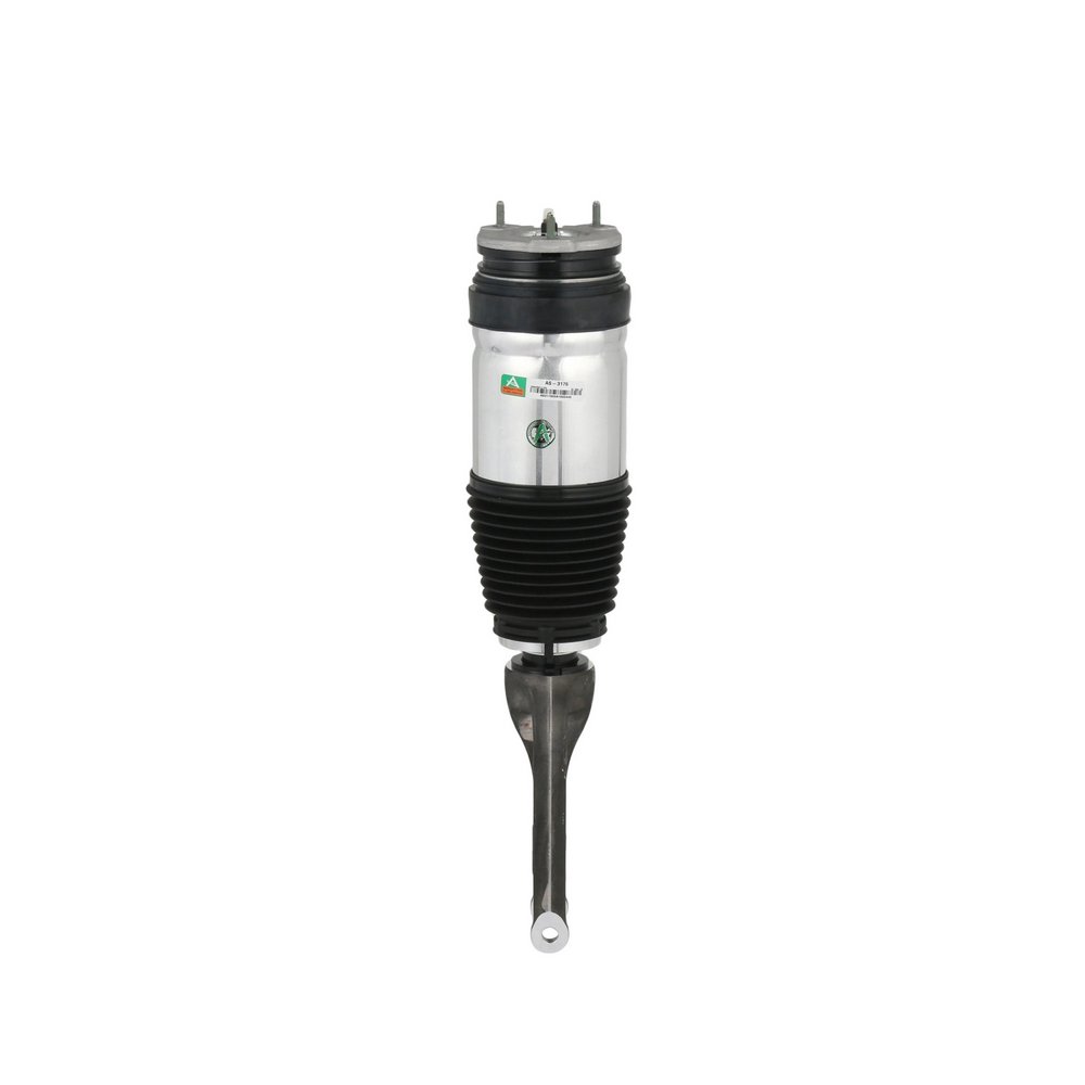 102736100G OE Arnott Air suspension strut AS-3176