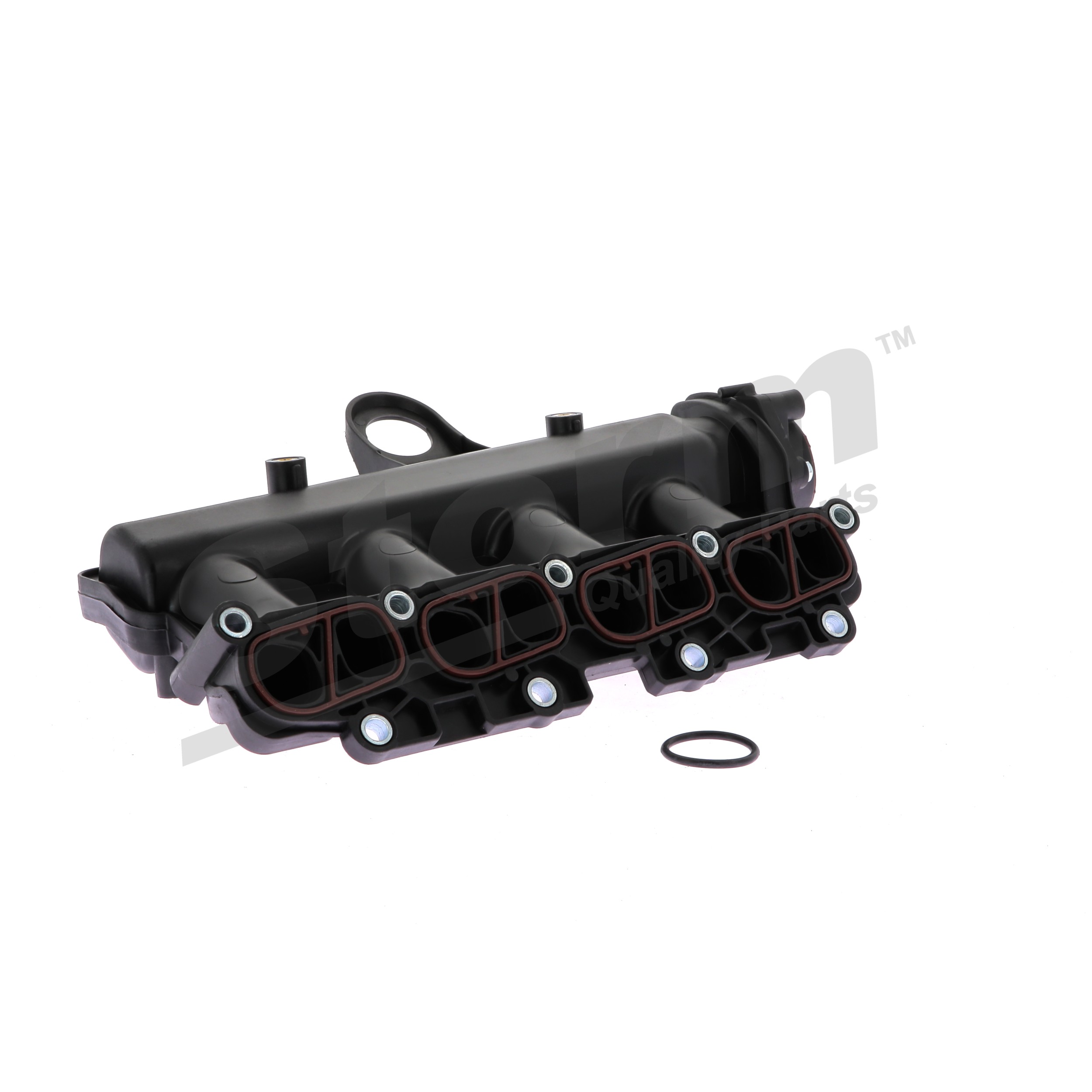 Módulo colector de admisión 55217648 STORM QUALITY PARTS 516506