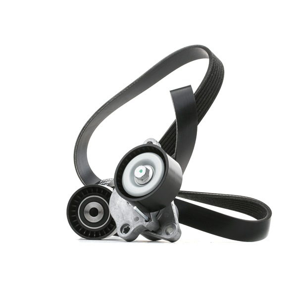 RIDEX 8200725951 Moniurahihnasarja 542R0726