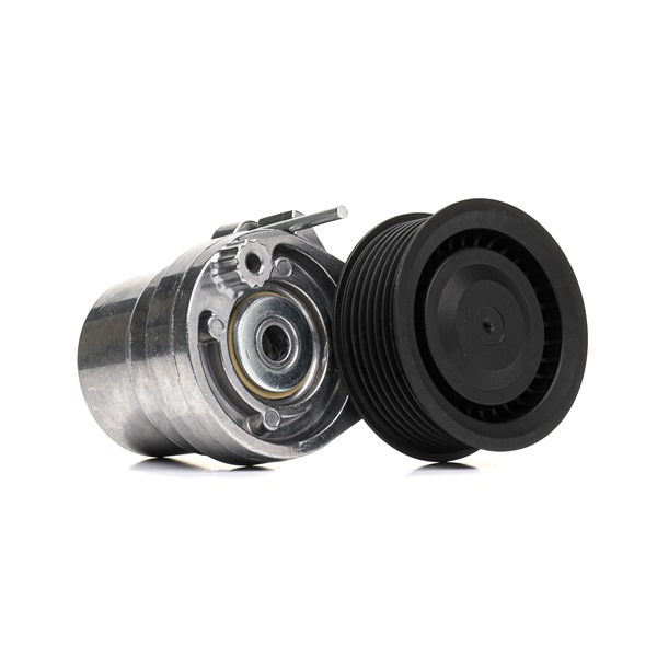 310T0531 RIDEX Polea tensora NISSAN KUBISTAR