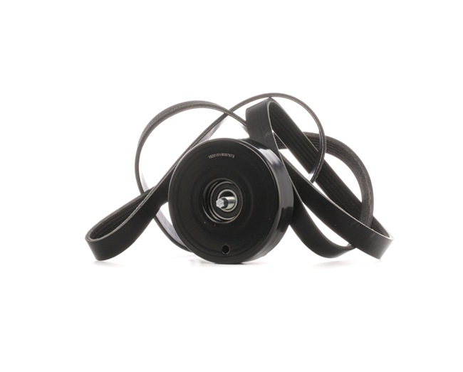 11287631810 OE RIDEX Jeu de courroies trapézoïdales à nervures 542R0731