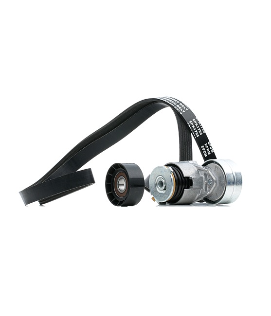 93160746 OE RIDEX Jeu de courroies trapézoïdales à nervures 542R0733