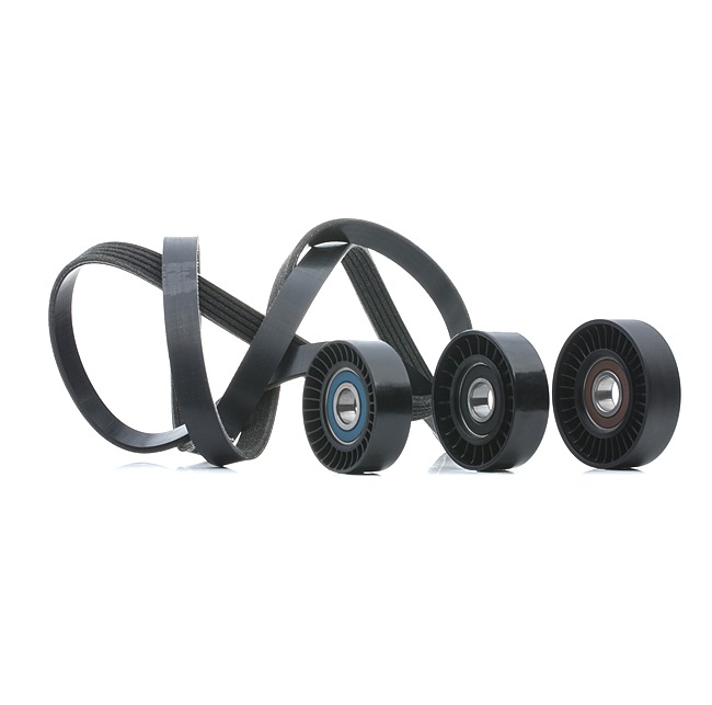 RIDEX 542R0740 Kit cinghie poly-v Mercedes W245 B 170 1.7 (245.232) Benzina 116 CV 2010 prezzo