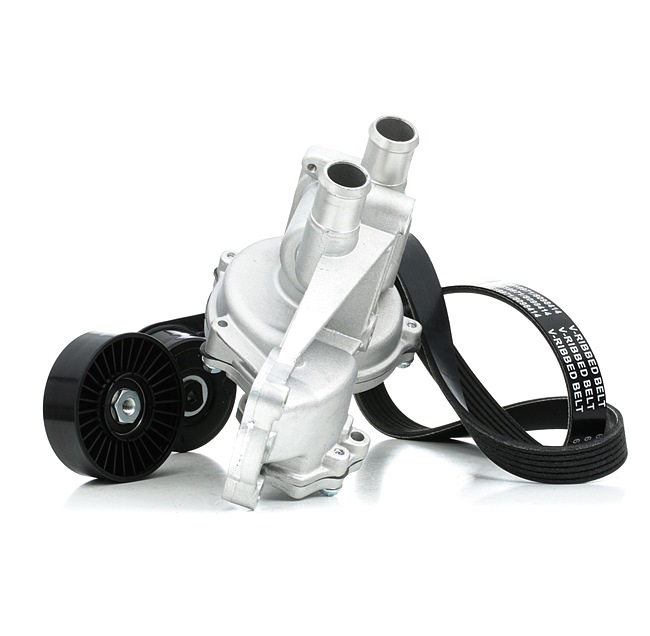 RIDEX 4172P0076 Multiremsæt VW Passat B3/B4 Variant (3A5, 35i) 1.9 TD Diesel 75 HK 1991 pris