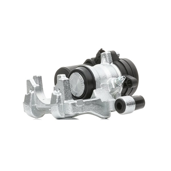 RIDEX 5317613 Jarrusatula 78B1575