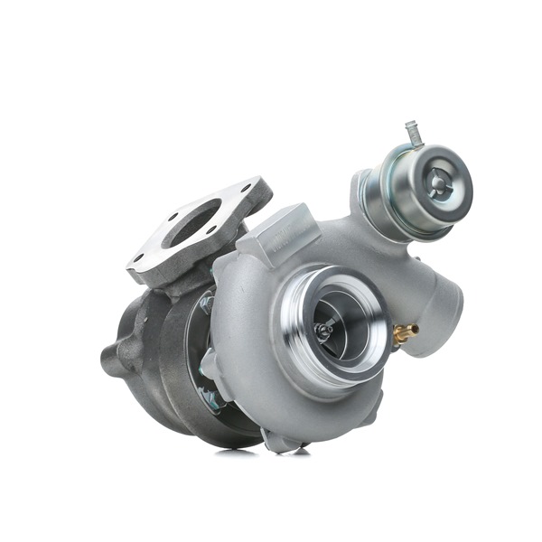 9172123 OE STARK Turbolader SKCT-1191266