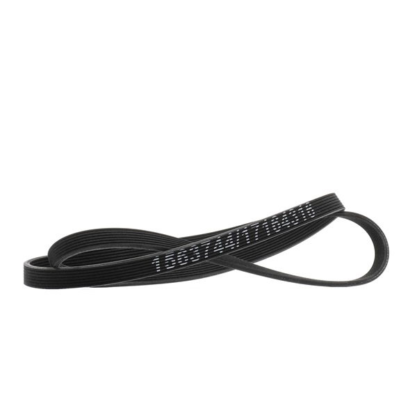 95510293300 OE RIDEX Courroie Poly-V 305P0568