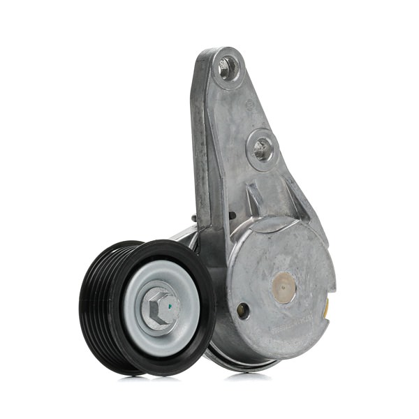 FORD S-MAX Spannrolle RIDEX 310T0542