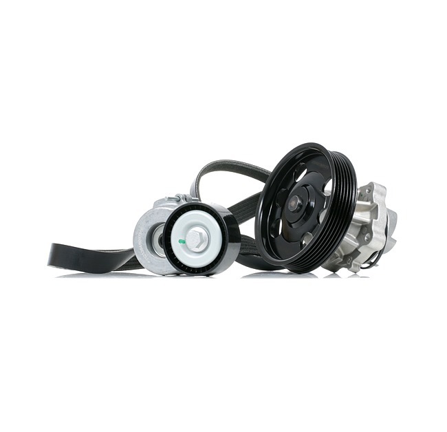 RIDEX 4172P0082 Keilrippenriemensatz Opel Corsa C Kastenwagen 1.3 CDTI 16V (F08, W5L) Diesel 69 PS 2005