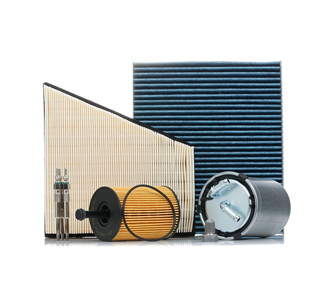 STARK SKPSM-4574044 Service kit & filter set SKODA Fabia 1 Combi (6Y5) 1.4 TDI Diesel 80 hp 2006 price