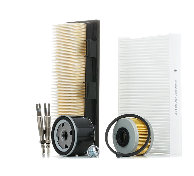 09900F8Q01 OE STARK Kit de revisão SKPSM-45722994