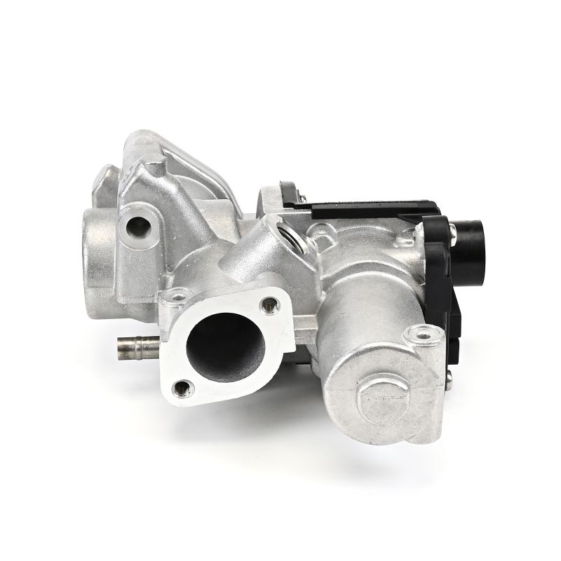 Volkswagen TOUAREG 2024 EGR-Ventil EG1050912B1 DELPHI