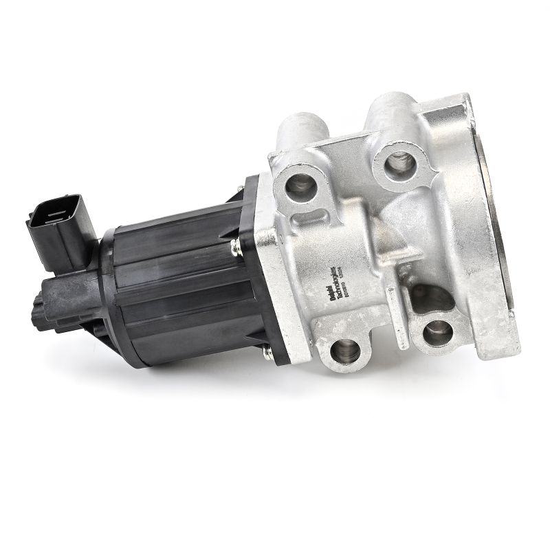 DELPHI AGR-Ventil EG10510-12B1