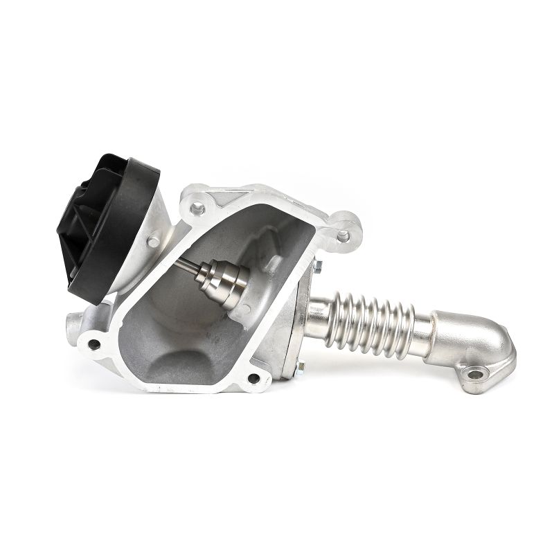 DELPHI EG10554-12B1 AGR Ventil MERCEDES-BENZ V-Klasse kaufen