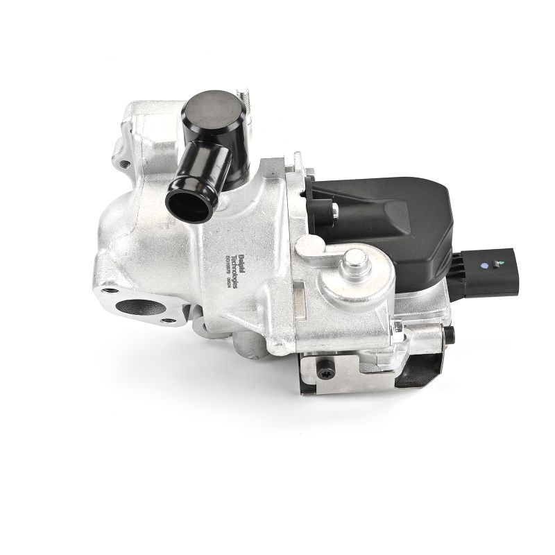 Original Hyundai SANTA FE DELPHI Abgasrückführungsventil EG10579-12B1