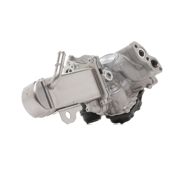 DELPHI EG10580-12B1 Abgasrückführung Peugeot 308 I 2.0 HDi Diesel 150 PS 2014