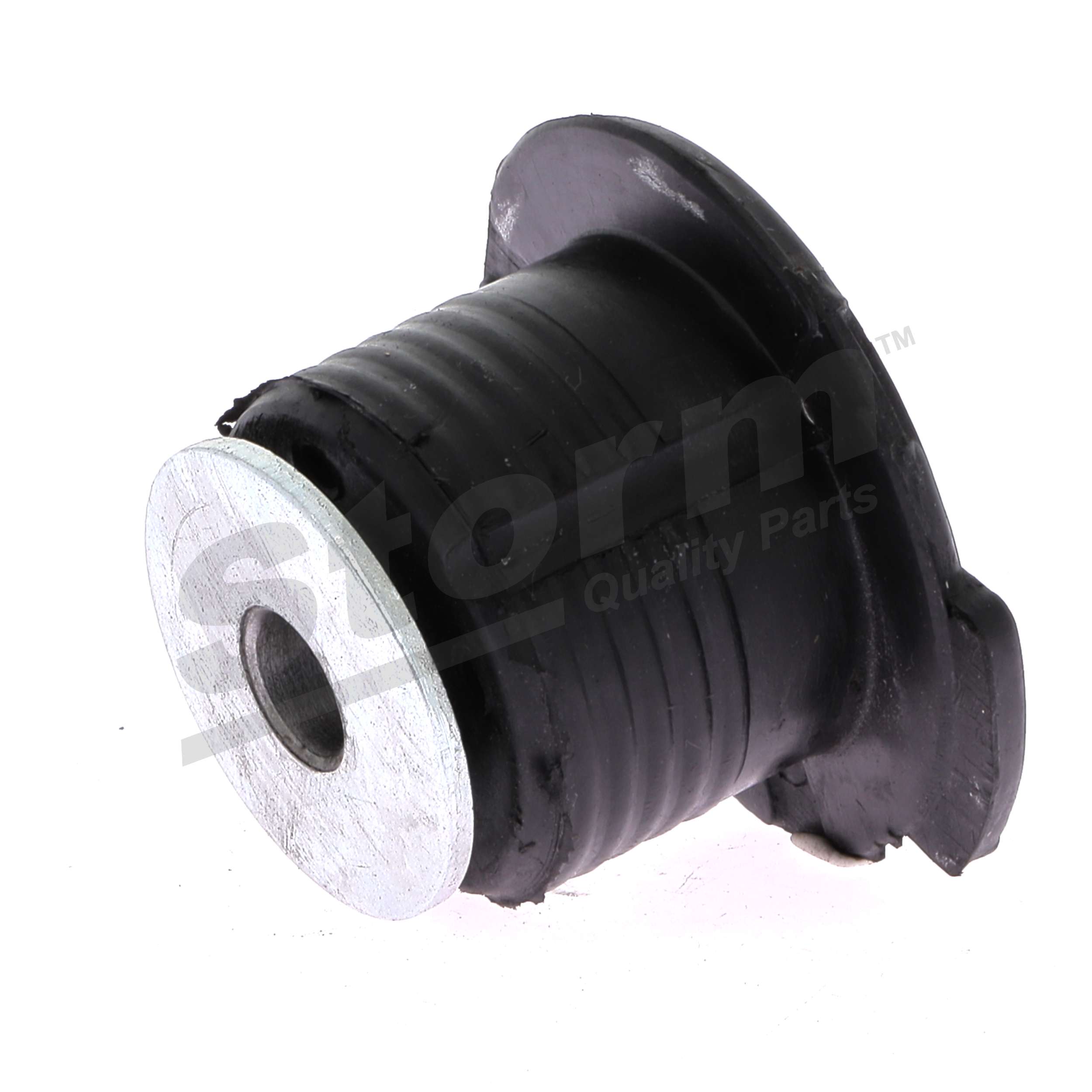 7700767684 OE STORM QUALITY PARTS Montavimas, ašies rėmas F0762