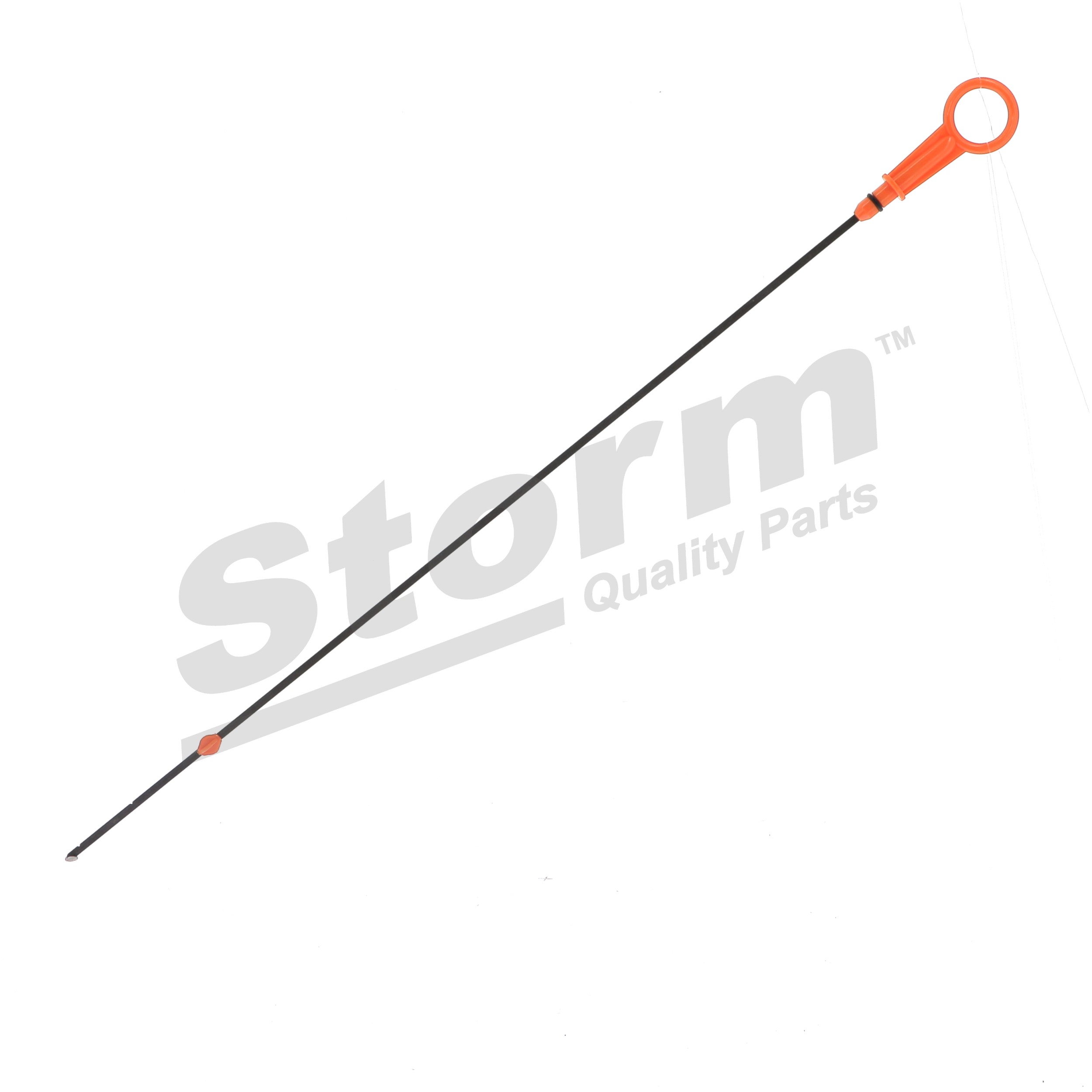 STORM QUALITY PARTS F10091 Asta livello olio Renault Modus / Grand Modus 1.5 dCi Diesel 68 CV 2025 prezzo