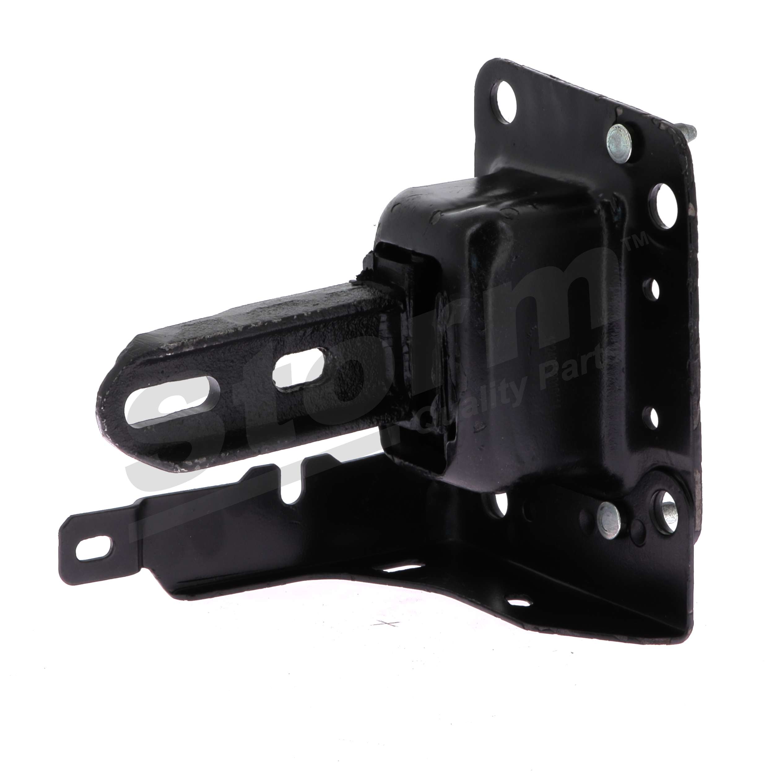 1813F0 OE STORM QUALITY PARTS Support moteur F10114