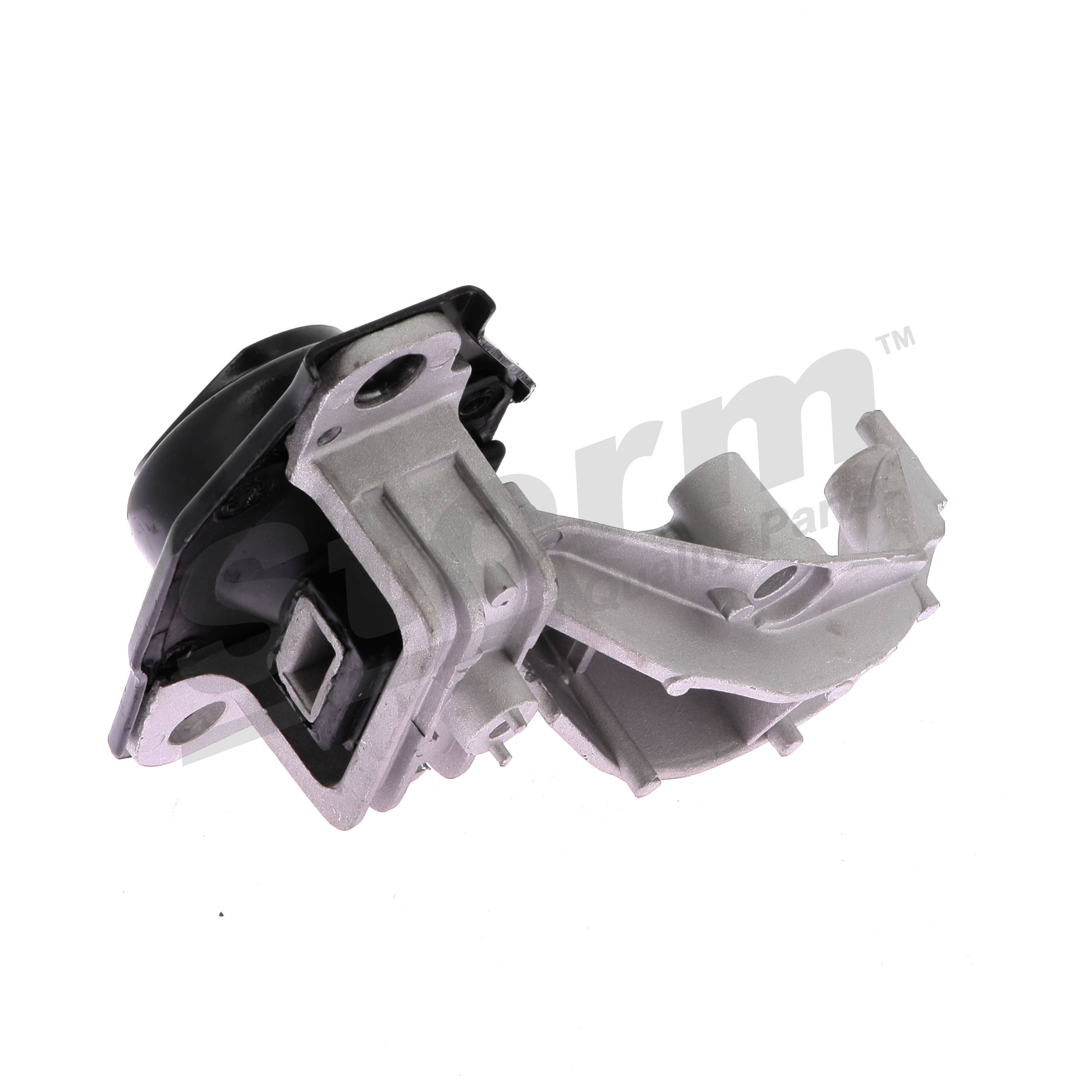 8200902955 OE STORM QUALITY PARTS Drzalo, obesa motorja F10608