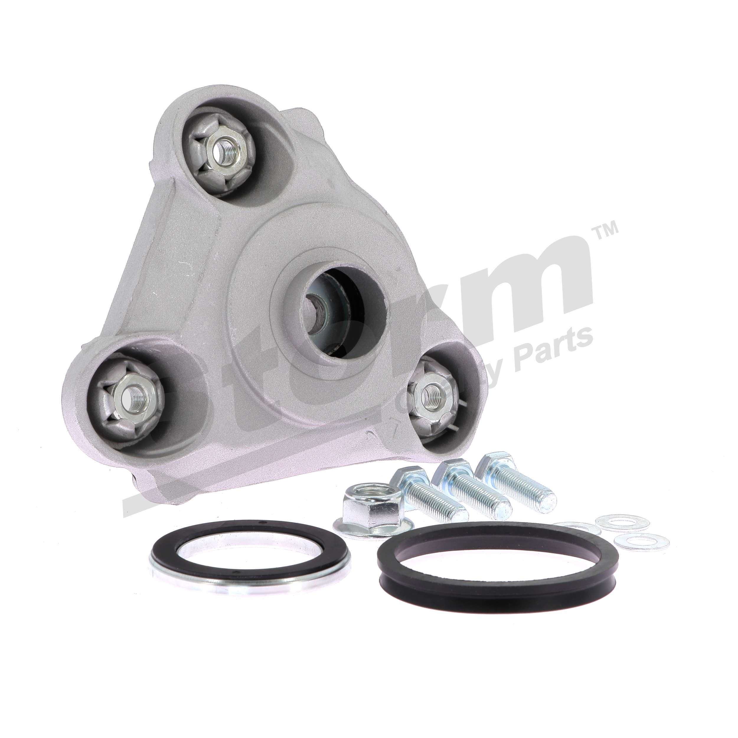 503882 OE STORM QUALITY PARTS Remonto komplektas, pakabos statramstis F10805