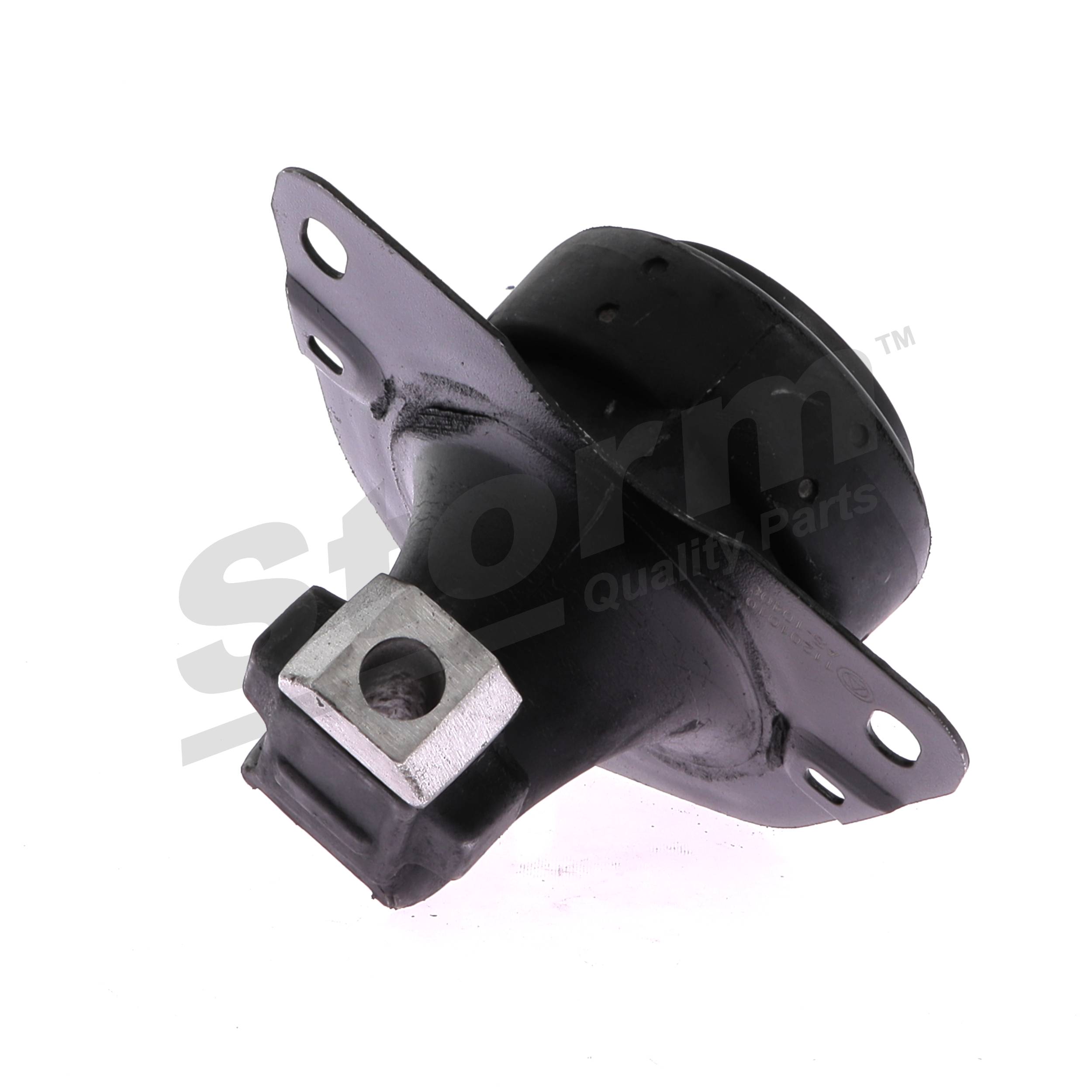 6025402944 OE STORM QUALITY PARTS Supporto motore F1438