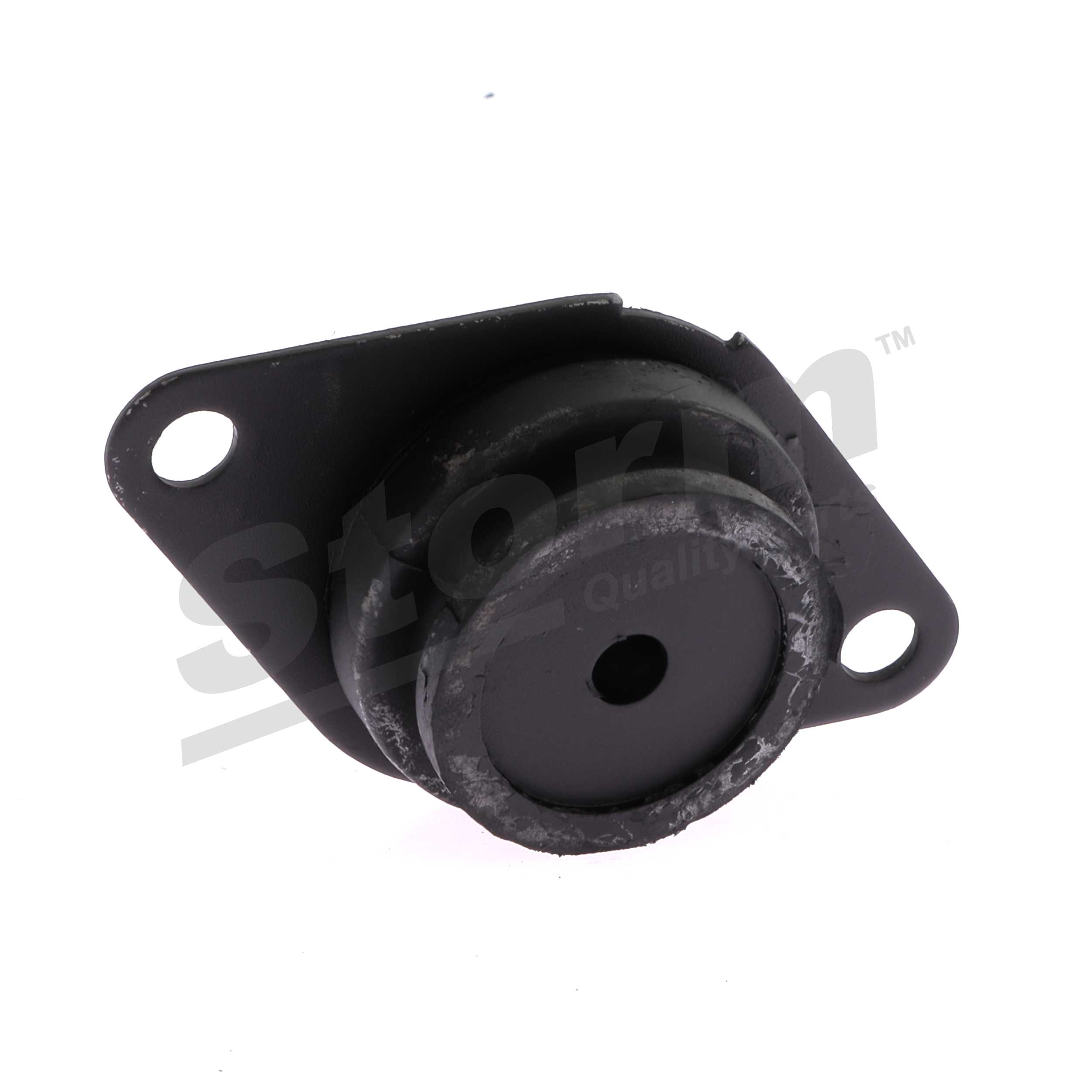 7700818369 OE STORM QUALITY PARTS Suporte, motor F2000