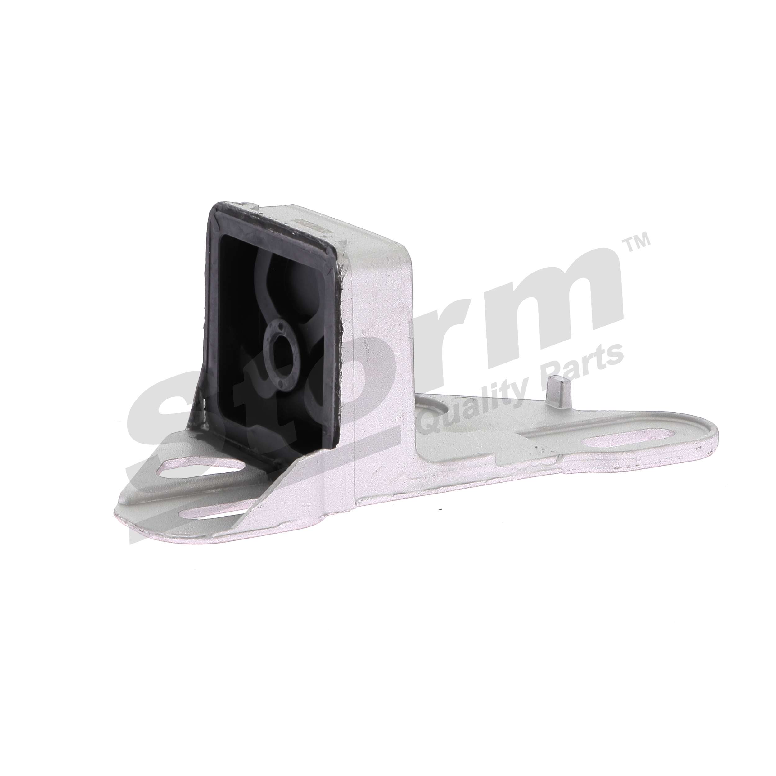 STORM QUALITY PARTS F2516 Pakoputken kannatin RENAULT Clio II Van 1.6 Bensiini 107 hv 2004