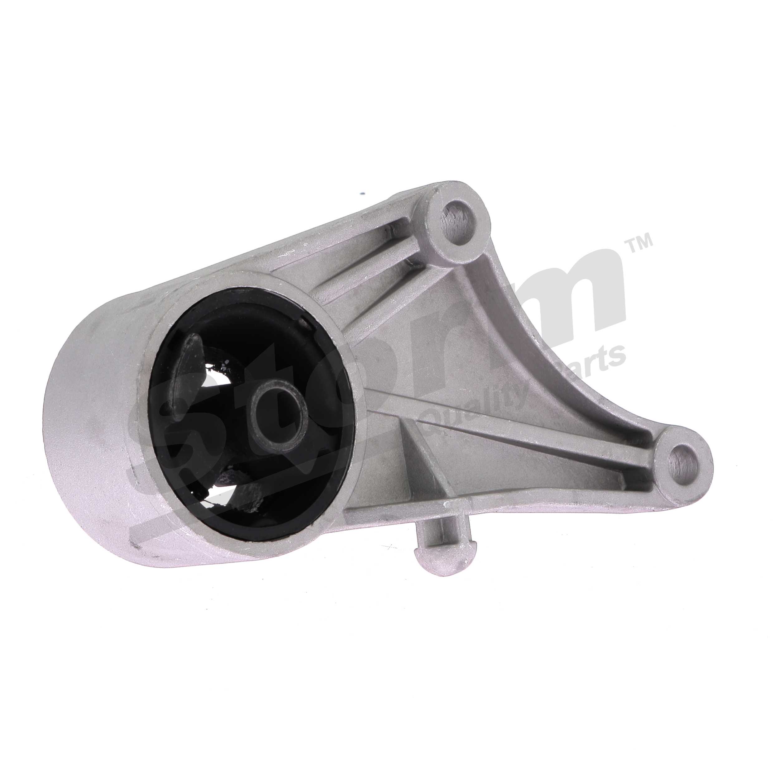 00684692 OE STORM QUALITY PARTS Suporte, motor F2779