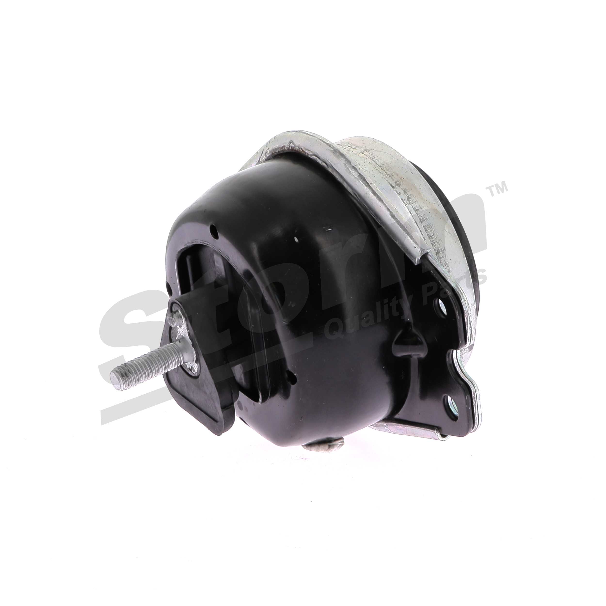 8200054865 OE STORM QUALITY PARTS Suporte, motor F4046