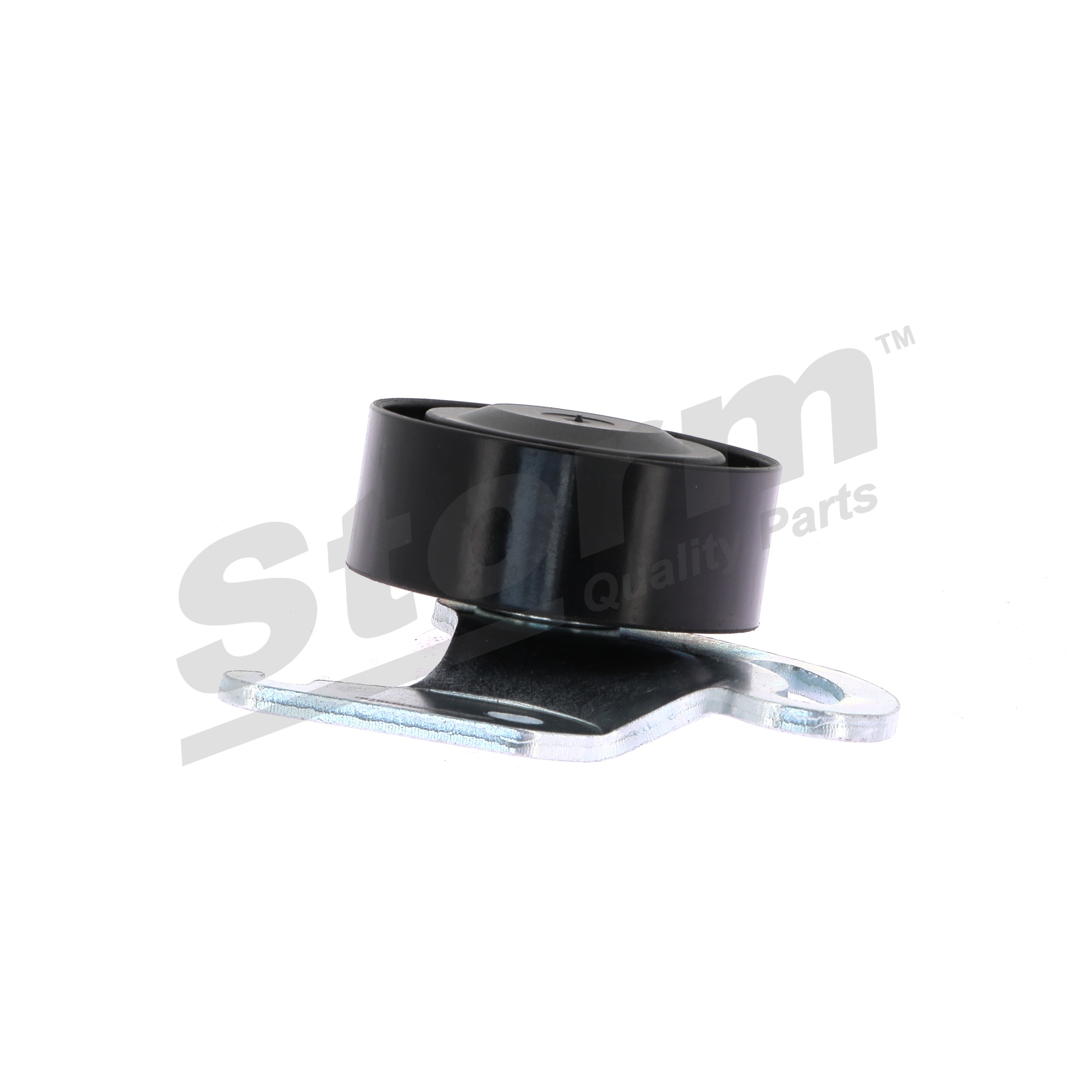 STORM QUALITY PARTS F4679 Styrerulle RENAULT Clio II Hatchback (BB, CB) 1.5 dCi Diesel 80 hk 2001 pris