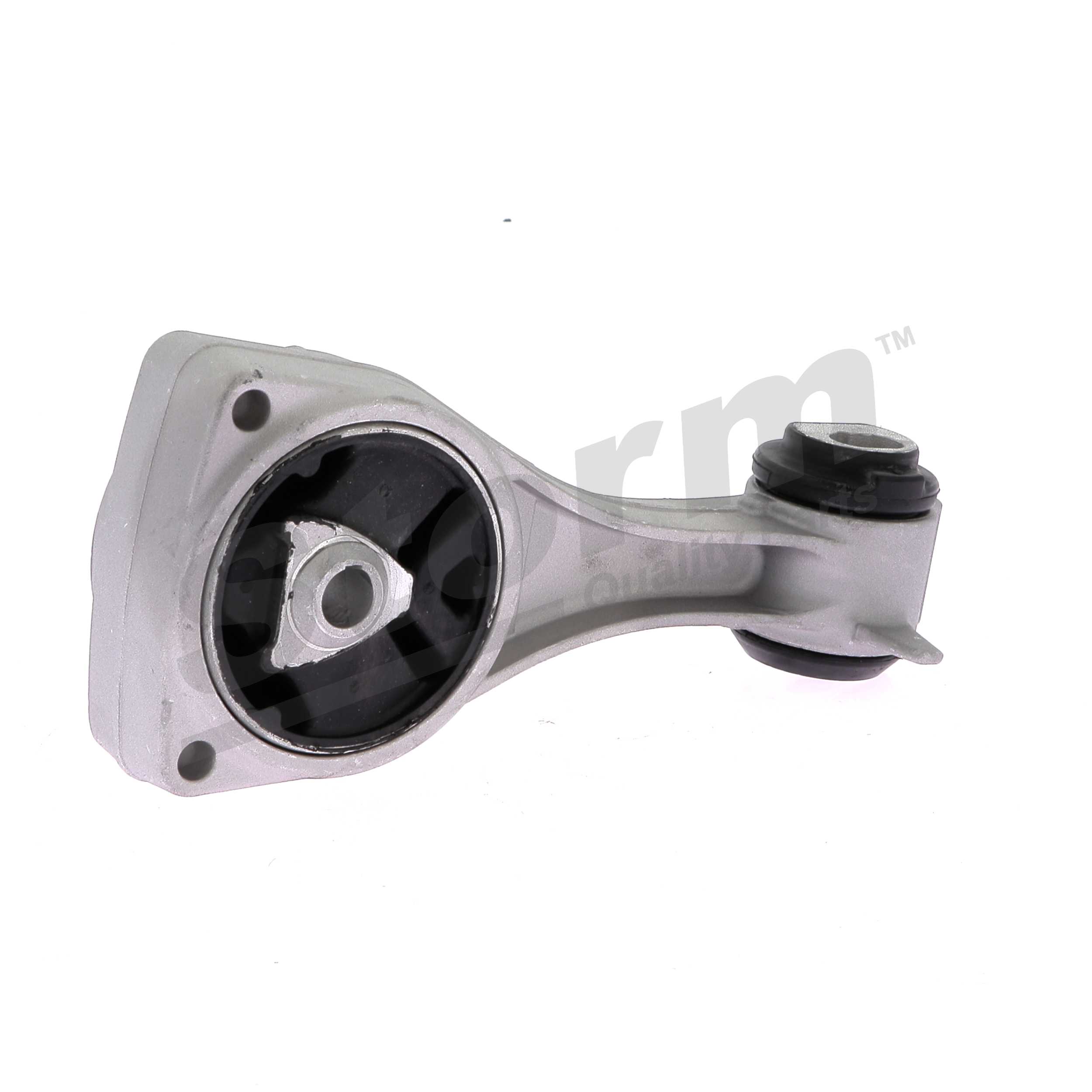 113560015R OE STORM QUALITY PARTS Variklio montavimas F5289