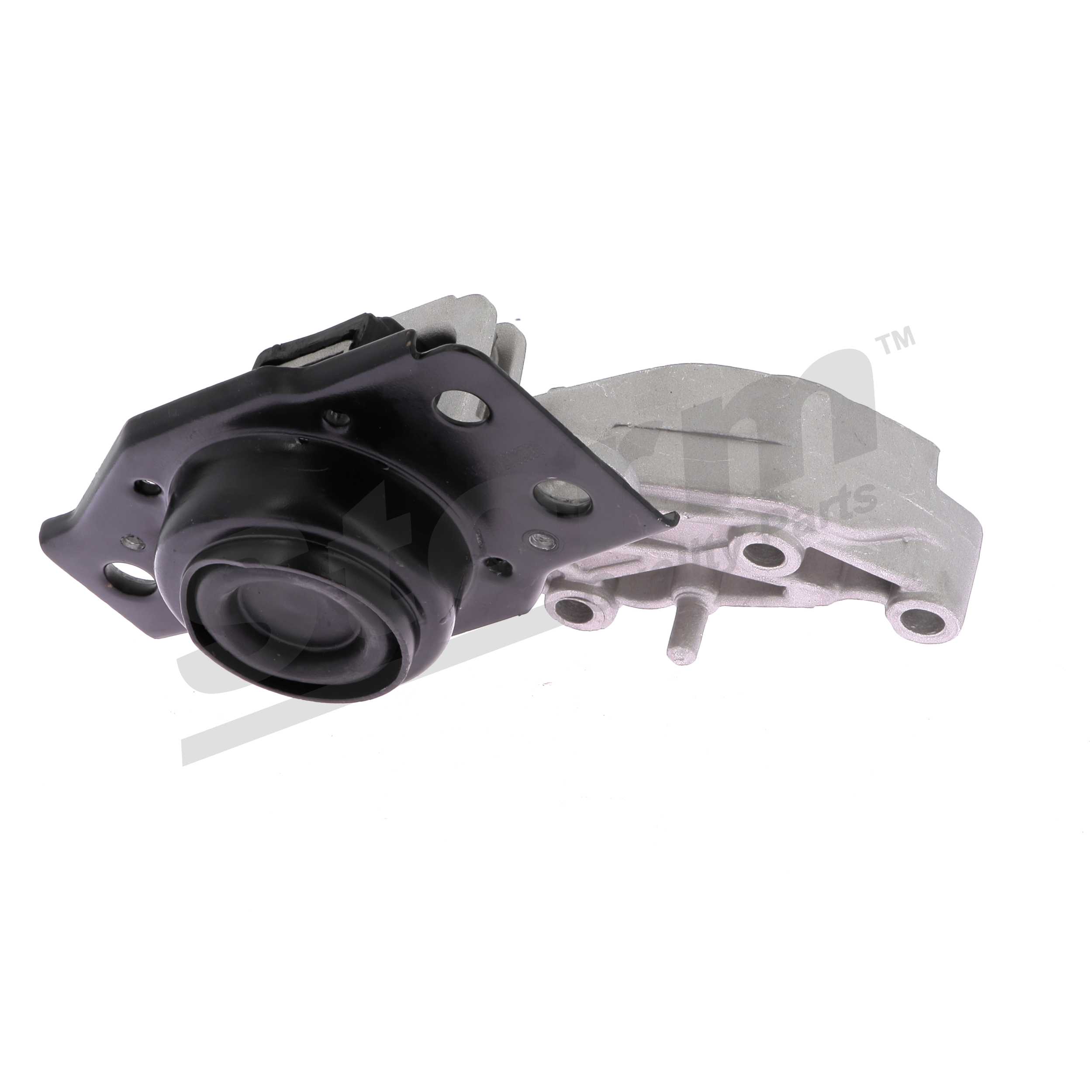 8200398170 OE STORM QUALITY PARTS Motorfeste F5311