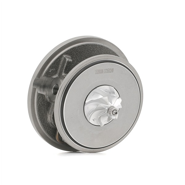 95526085 OE RIDEX Cartucho CHRA 4973C0255