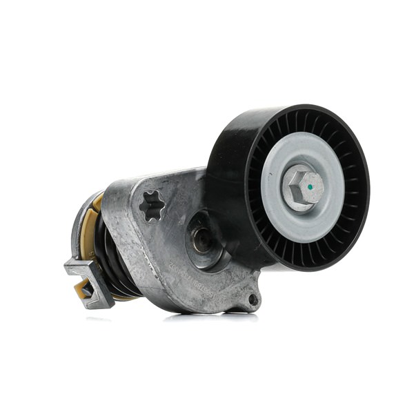 RIDEX 310T0544 Rolo tensor Mercedes S203 C 180 1.8 Kompressor (203.246) Gasolina 143 cv 2006 preço