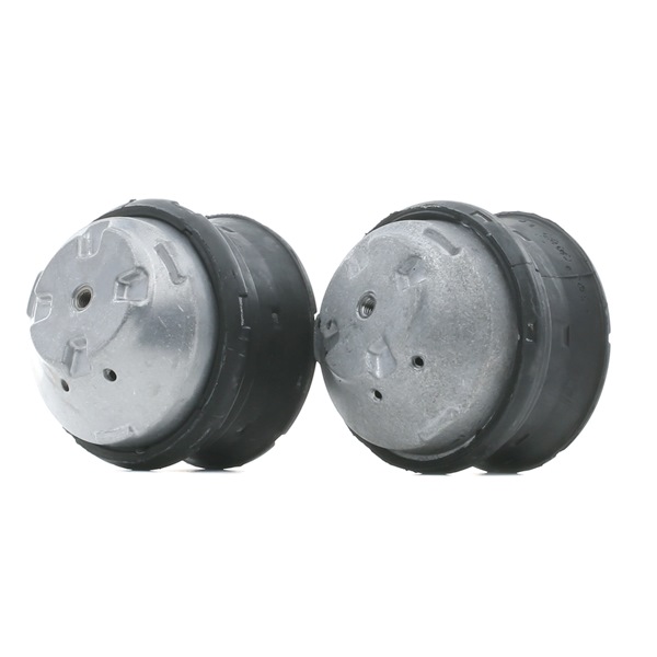 RIDEX 247E0798 Engine mounting MERCEDES-BENZ E-Class T-modell (S211) E 270 CDI 2.7 (211.216) Diesel 163 hp 2007 price