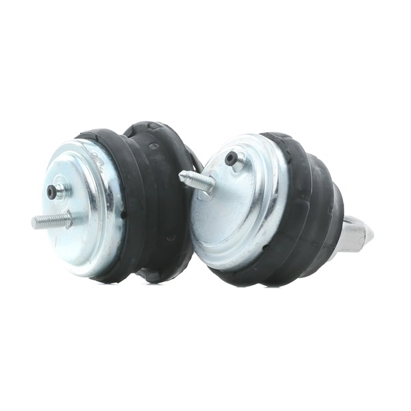SKEM-0660798 STARK Soporte de motor BMW Z3