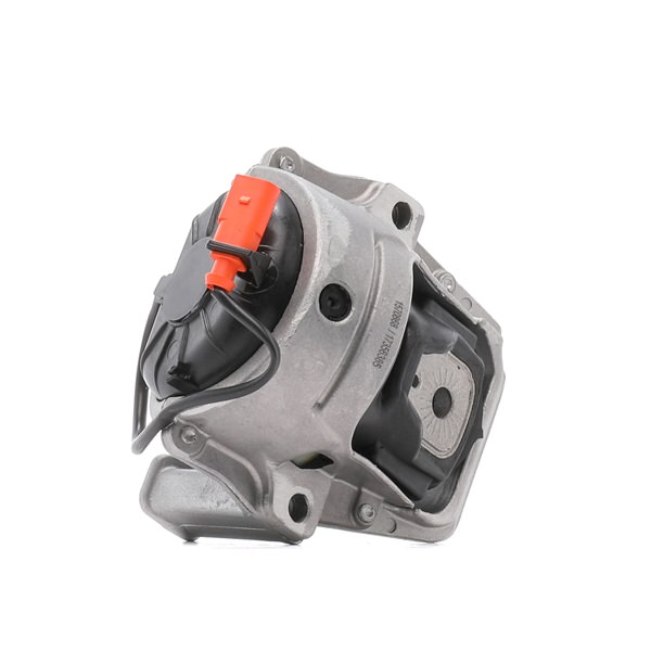 RIDEX 8R0199381AQ Motorsteunlager