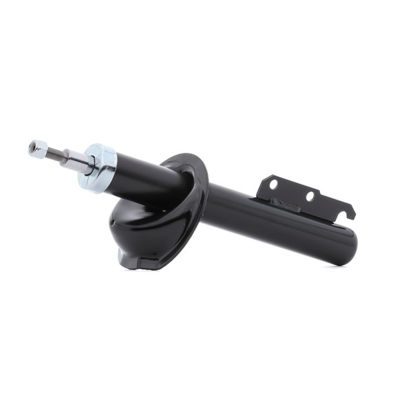 1010262 OE RIDEX Amortisseur 854S18200