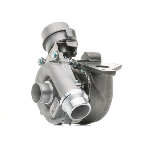 7701476183 OE RIDEX Turbolader 2234C10793