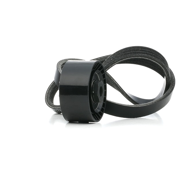 RIDEX 542R0837 Komplet rebrastega jermena RENAULT TWINGO II (CN0_) 1.2 16V (CN0K, CN0V, CN0A) Bencin 76 km 2025