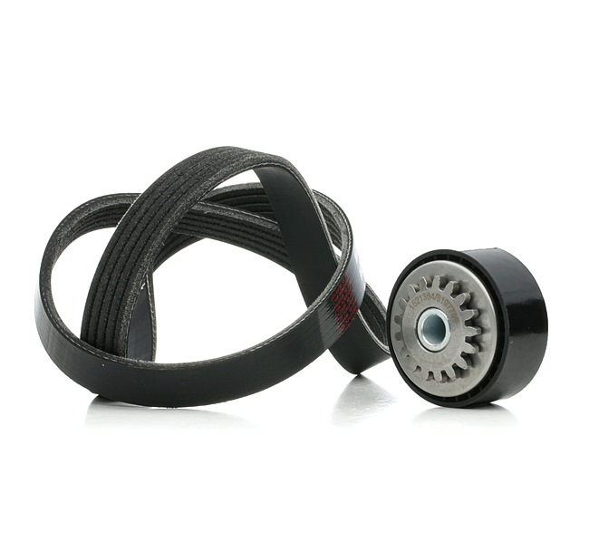 7700867939 OE RIDEX Jeu de courroies trapézoïdales à nervures 542R0855