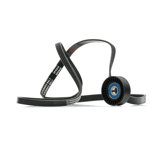 Kit Cinghie Poly-V RIDEX 542R0889 adatti per FIAT prezzi economici